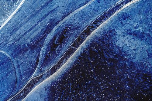 Abstract from Nature #3 van Fred Schuch