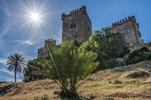 Het kasteel Almodovar del Rio in de buurt van Cordoba, Spanje