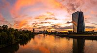Frankfurt am Main - Skyline bij zonsondergang van Frank Herrmann thumbnail