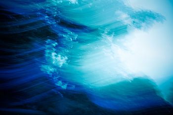 The movement of trees