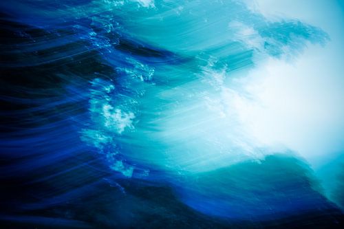 The movement of trees