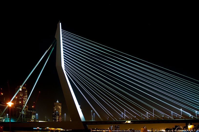 Erasmus brug Rotterdam van Brian Morgan