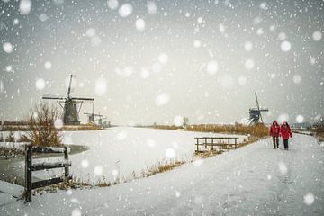 Falling snow van Jan Koppelaar