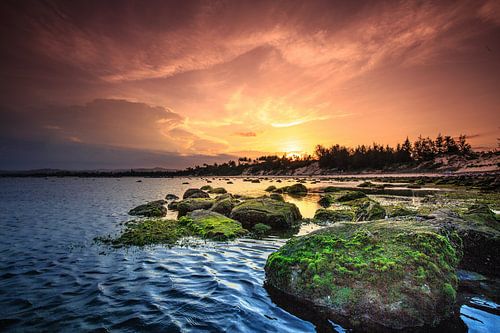 Mother Nature