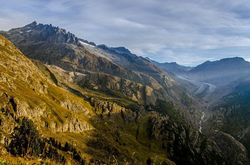 Blick auf den Aletschgletscher und die Schweizer Berge vom Hotel Belalp, Wallis, Schweiz von Sean Vos