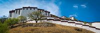 Die sehr große Potala-Palast in Lhasa, Tibet von Rietje Bulthuis Miniaturansicht