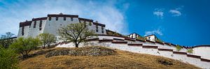 Die sehr große Potala-Palast in Lhasa, Tibet