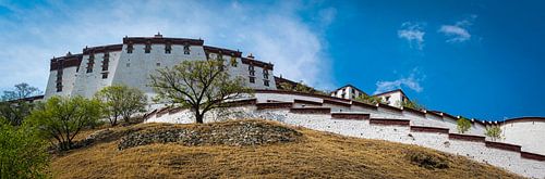 Het immens grote Potala paleis in Lhasa, Tibet