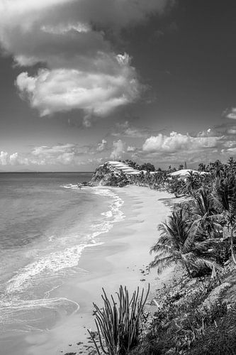 Tropisch Caribisch strand in zwart en wit