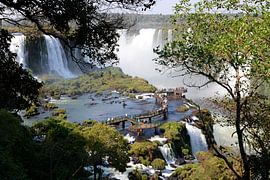De watervallen van Iguazu op de grens van Brazilië  en Argentinië trekken veel belangstelling van Rini Kools