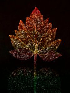 Herbst: Abstraktes Herbstblatt in warmen Farben