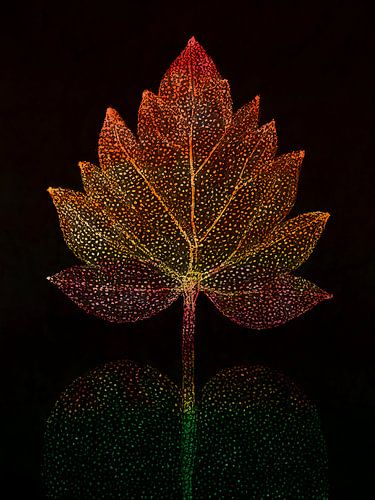 Automne : Feuille d'automne abstraite aux couleurs chaudes