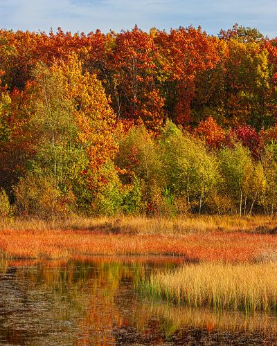 Herfst in Drenthe