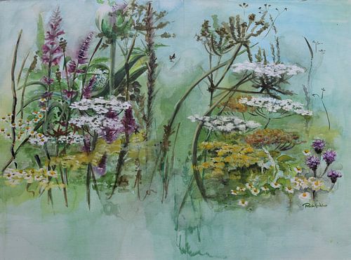 Wilde bloemen in het veld.