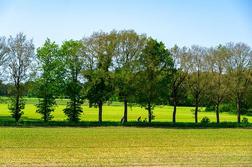 Cyclists in the Vecht valley in Overijssel by Henk Alblas