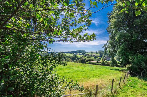 Landscape in the Ardennes