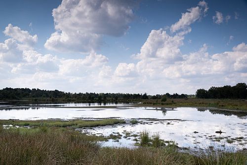 Ein Spiegel der Wolken im Wasser.