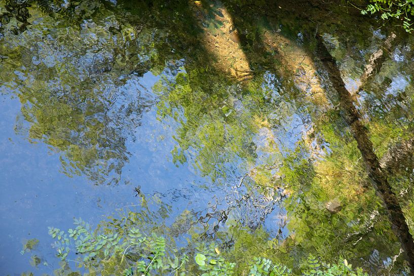 Réflexion dans l'eau à la Monet par Sia Windig