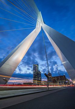 The Erasmus Bridge in Rotterdam by MS Fotografie | Marc van der Stelt