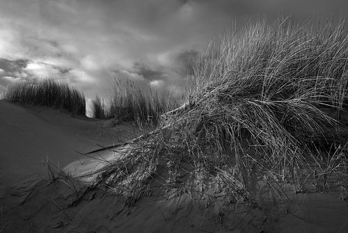 Dune summit during a thunderstorm