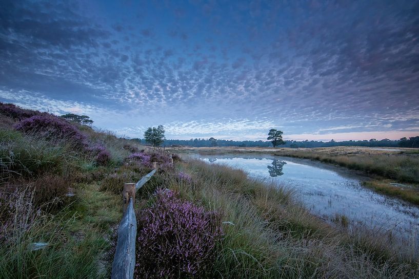 Sunrise in the forest lake of national park Heidestein Utrechtse Heuvelrug. by Peter Haastrecht, van