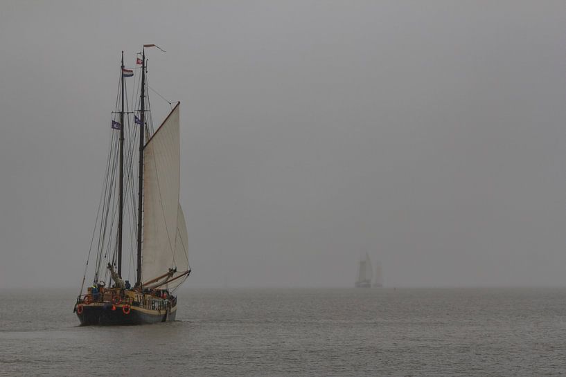 ijsselmeer von ton vogels