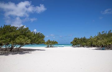 Aruba, boot, blauwe lucht, bomen, wit strand van Joyce Perez