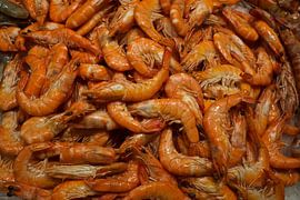 Crevettes