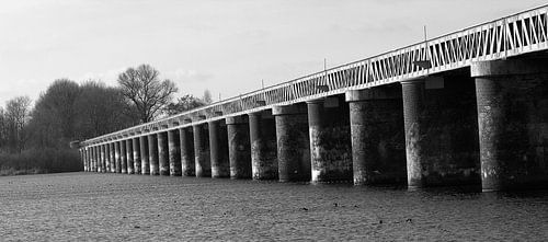Moerputten in Den Bosch