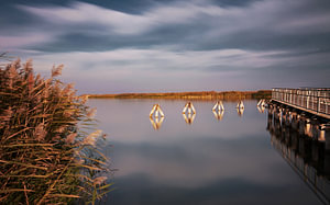 ein Tag am See
