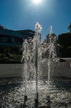 Springbrunnen von Norbert Sülzner