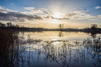 la réflexion du matin