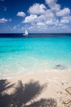 A sailboat on the caribbean sea