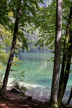 Lac de Bohinj sur Jolanda van Eek en Ron de Jong