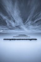 Piles de moules Côte d'Opale