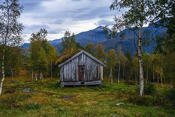 Heerlijke oude hut