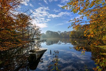 quiet autumn shot in the Horsten Estate by Remco Van Daalen