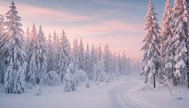 Die sanfte Umarmung des Winters von Artistic
