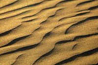 Warm colors on the beach