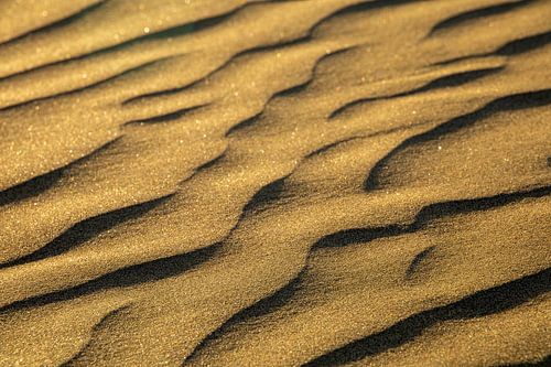 Warme kleuren op het strand