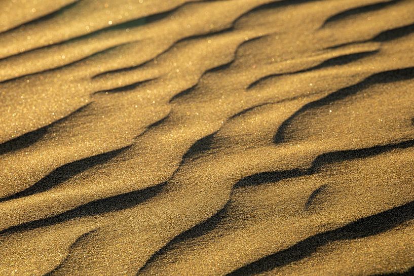 Warm colors on the beach by Marloes ten Brinke
