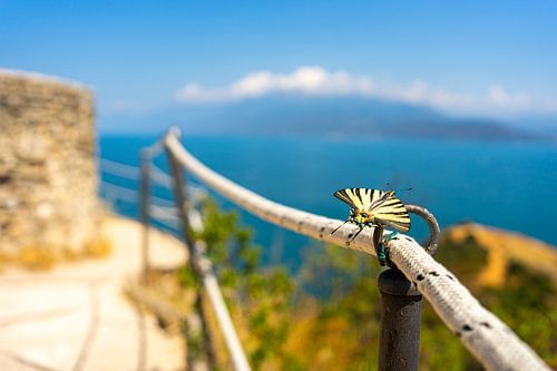 Papillon sur un sentier de montagne au lac de Garde