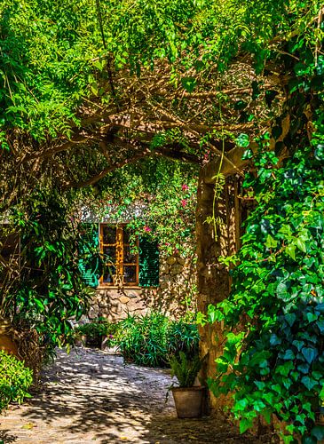 Romantisch uitzicht op tuinterras met prachtige bloemen