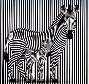 Zebra-Streifen