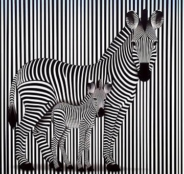 Zebra strepen van Ans Bastiaanssen