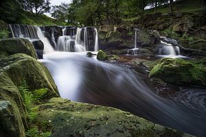 Go with the Flow sur Raoul Baart