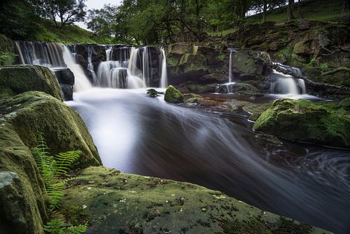 Go with the Flow