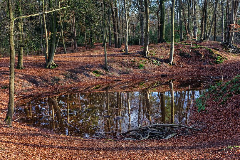 Herfstdag van Ruud de Soet