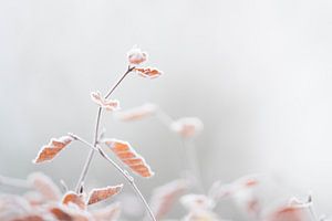 Ansicht Winter