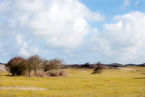 Duinlandschap in Zeeland